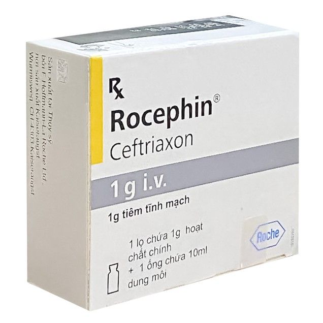 Rocephin 1G I.V B/1 inj 10ml