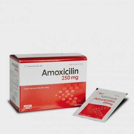 Thuốc kháng sinh Amoxicillin Brawn được chỉ định phổ biến trong điều trị các bệnh lý nhiễm trùng đường hô hấp 