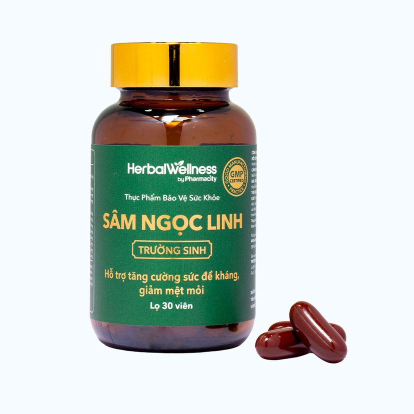 THỜI ĐIỂM LÝ TƯỞNG NHẤT ĐỂ SỬ DỤNG SÂM NGỌC LINH HIỆU QUẢ
