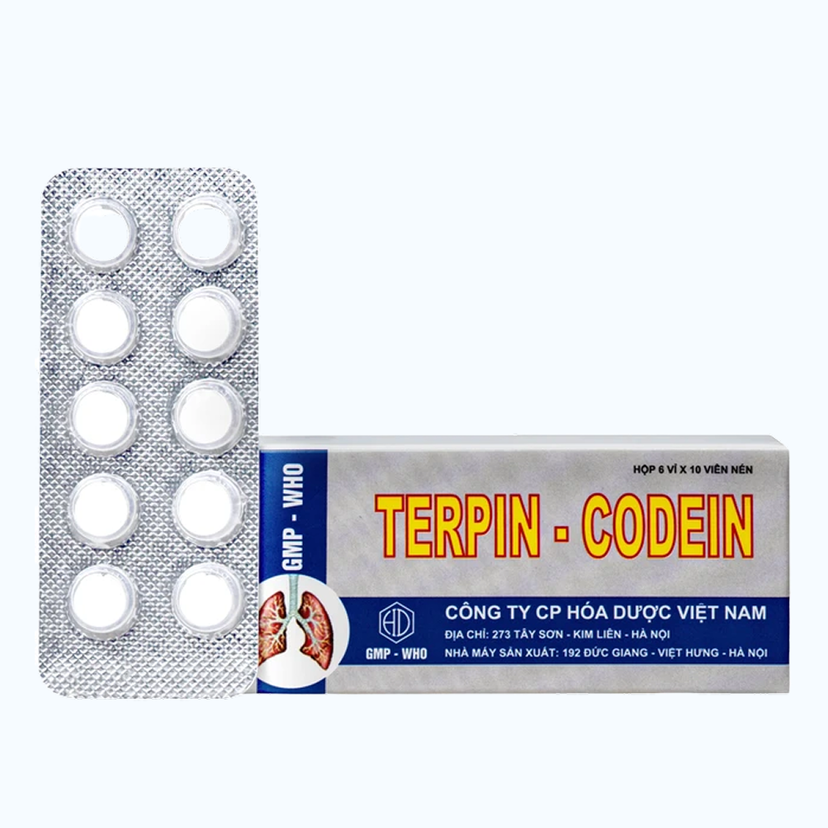 Terpin codein Hóa Dược 10/100 (Hộp 06 vỉ x 10 viên)