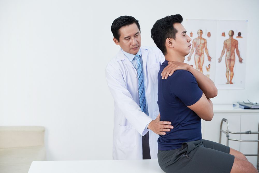 Cột sống được giữ ổn định nhờ hệ thống dây chằng và cơ hỗ trợ