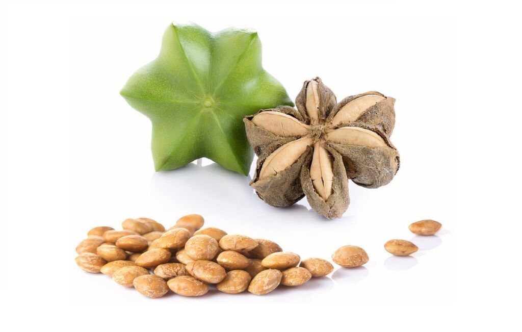 Hình thức bên ngoài của dâu đất