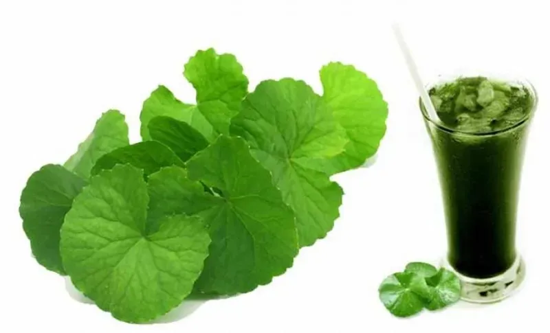 Duy trì lối sống năng động kết hợp dùng thảo dược giúp bảo vệ đôi chân khỏe mạnh