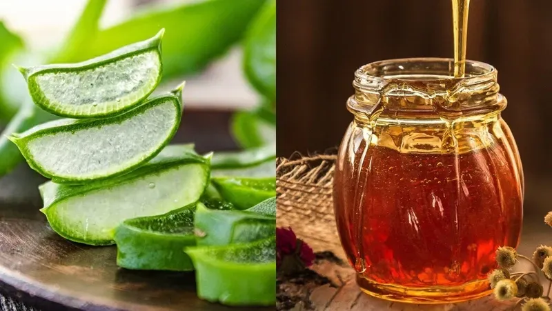 5 cách trị nám bằng nha đam hiệu quả nhất