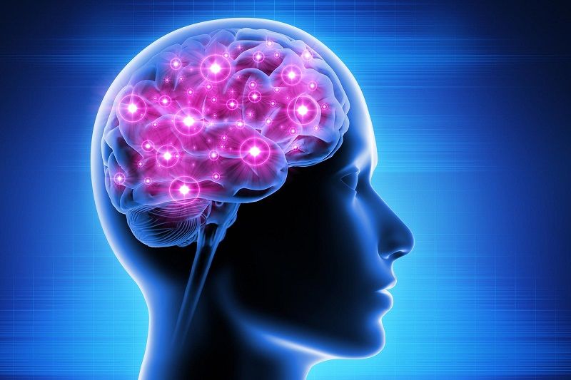 Giải pháp tăng cường tuần hoàn máu não hiệu quả và an toàn