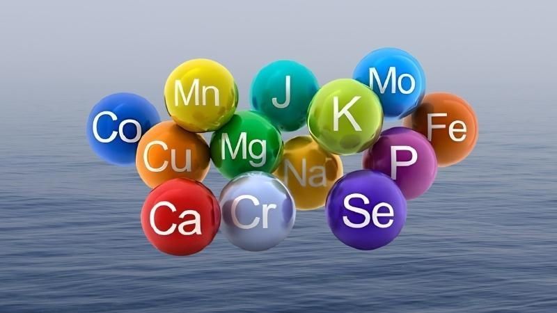 Bổ sung nước và trái cây giàu khoáng chất giúp cơ thể luôn cân bằng 