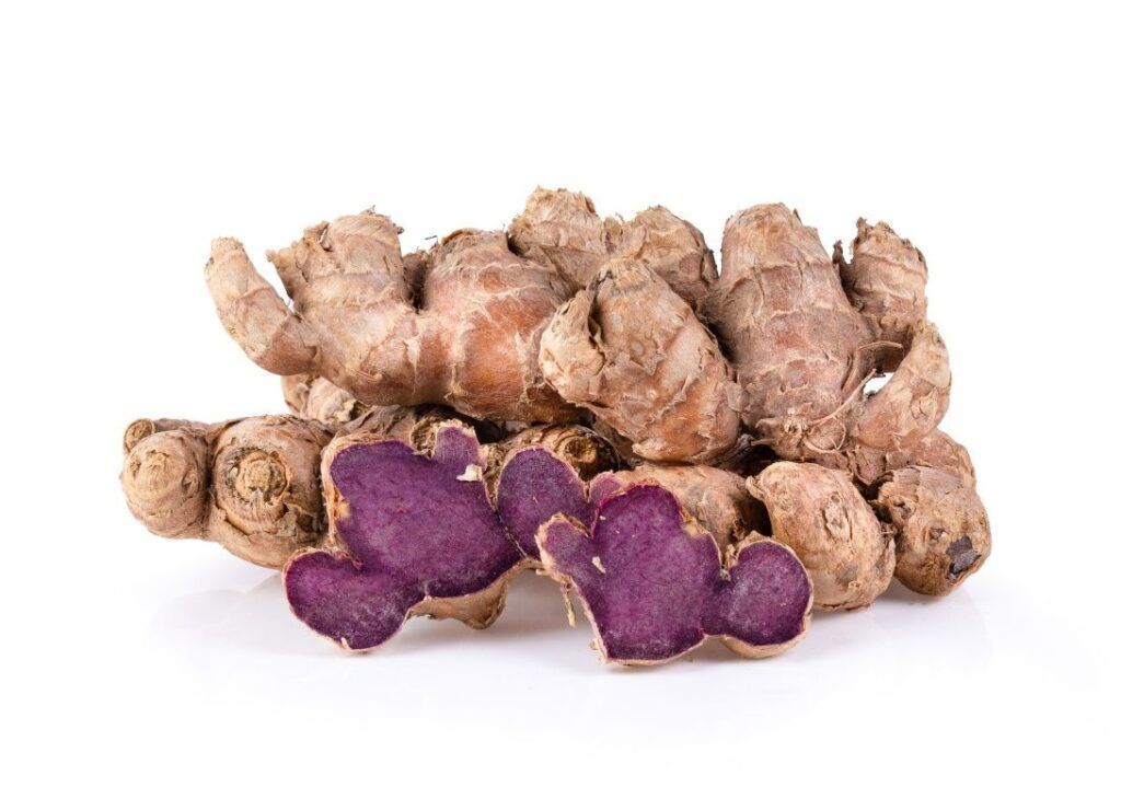 Củ gừng đen với lõi màu tím đen đặc trưng chứa hàm lượng methoxyflavone cao (Nguồn: Sưu tầm)
