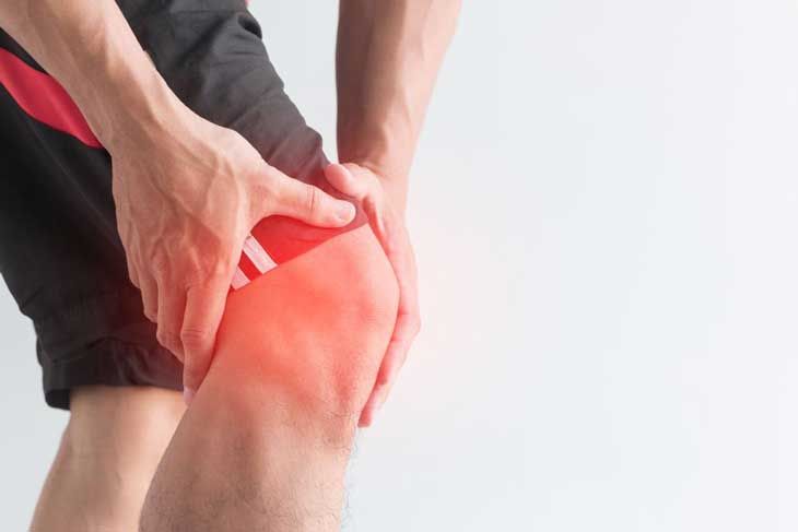 Hệ thống dây chằng giúp giữ ổn định cấu trúc khớp gối