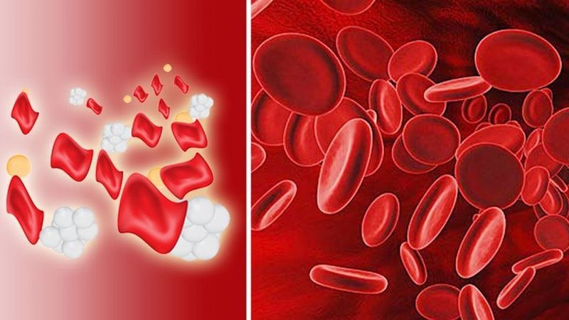 Hình minh họa xét nghiệm máu hiện đại dùng để đánh giá Thalassemia