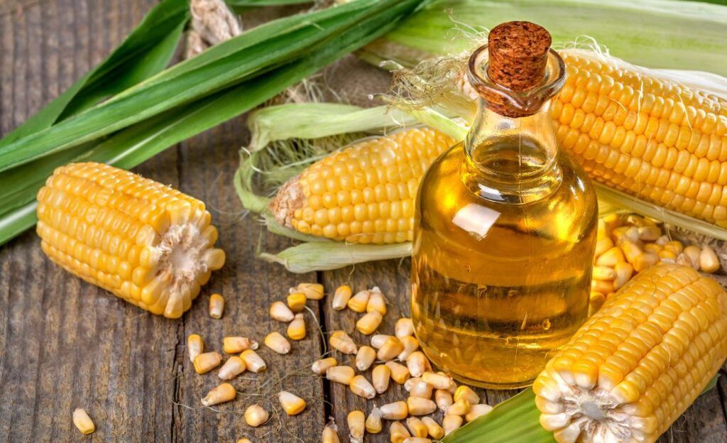 hạt ngô vàng chứa hàm lượng tinh bột và vitamin dồi dào