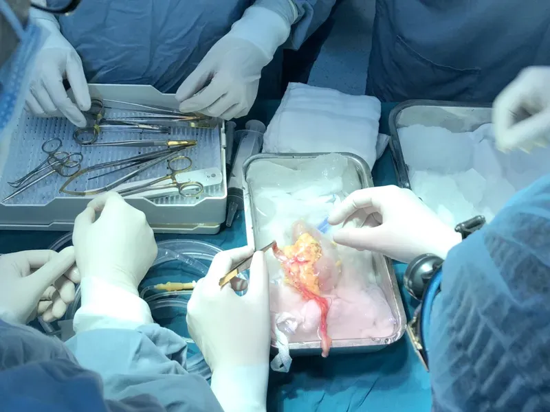 Thận đóng vai trò quan trọng trong việc lọc máu và duy trì cân bằng nội môi