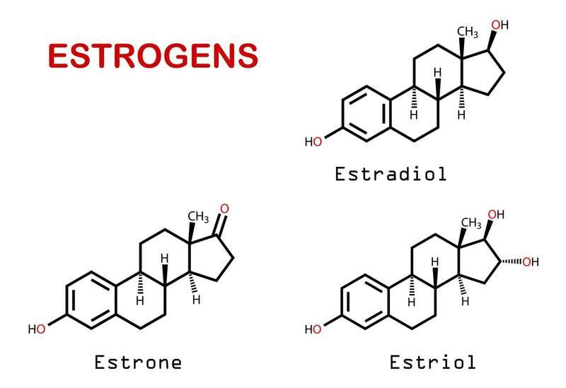 Sự thiếu hụt estrogen lâu dài có thể gây ảnh hưởng đến mật độ xương ở nữ giới 