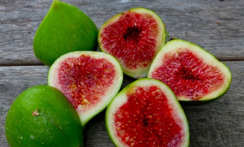 Chế biến đúng cách giúp đảm bảo những điều cần lưu ý khi sử dụng quả sung an toàn