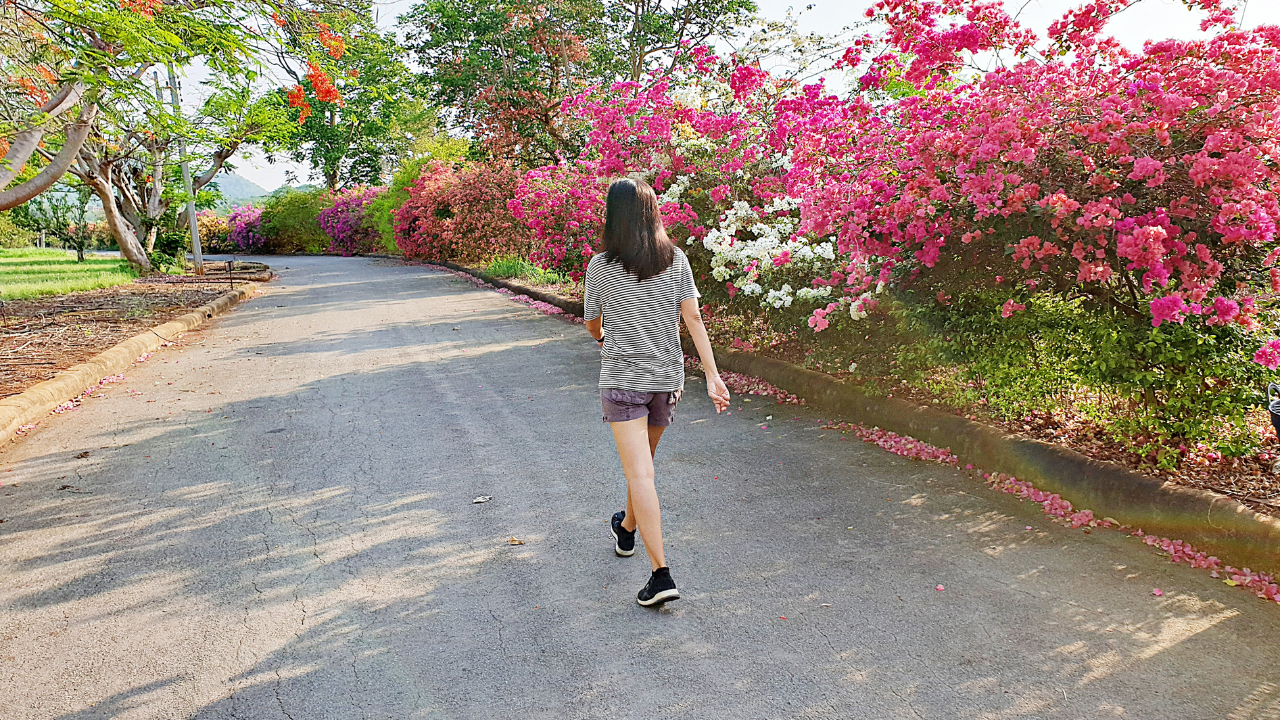 Lối sống năng động và dinh dưỡng hợp lý là chìa khóa để giảm bớt sự phụ thuộc vào thuốc 