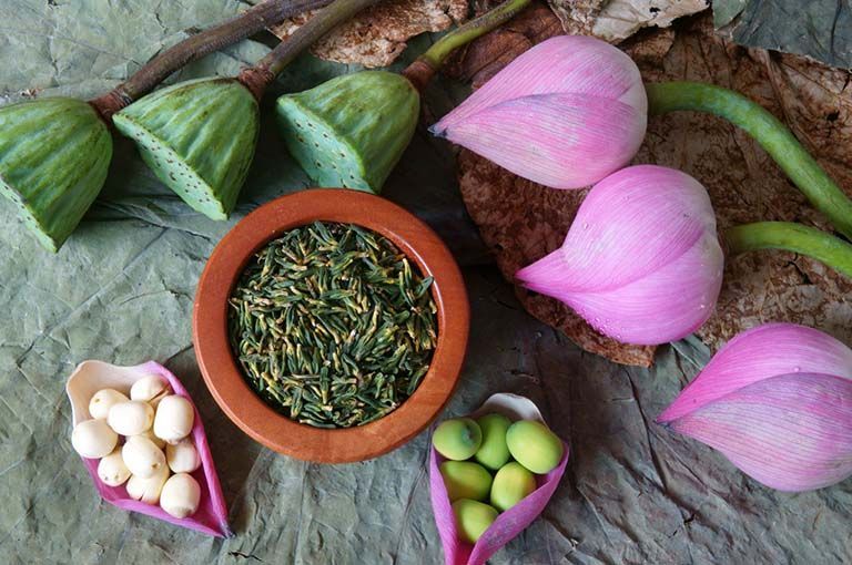 Hoạt chất alcaloid trong tâm sen mang lại công dụng hỗ trợ giấc ngủ và hạ huyết áp hiệu quả (Nguồn: Sưu tầm)