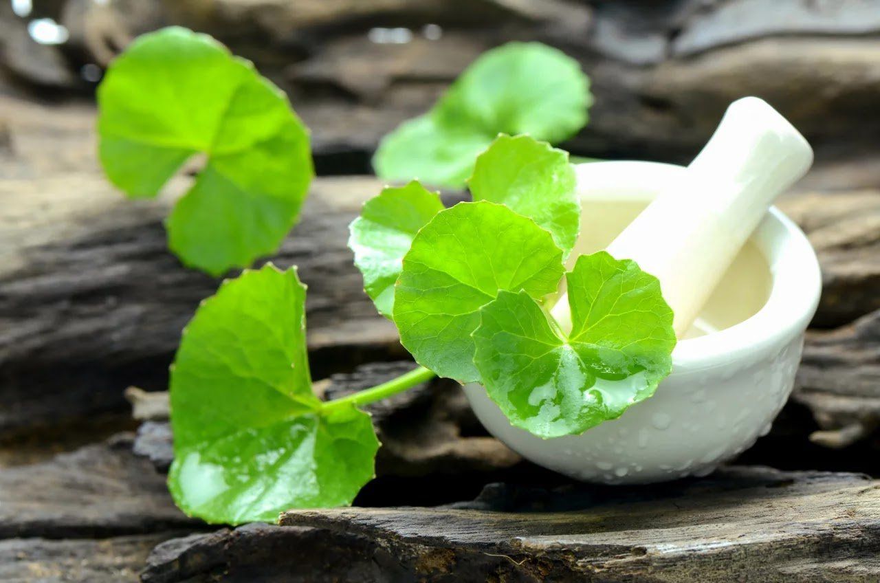 Nhờ đặc tính an toàn, Centella Asiatica là lựa chọn ưu tiên cho hầu hết mọi loại da, kể cả làn da nhạy cảm nhất