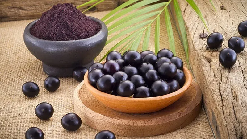 Hoạt chất Anthocyanin mang lại công dụng chống oxy hóa và bảo vệ tim mạch hiệu quả của quả acai (Nguồn: Sưu tầm)