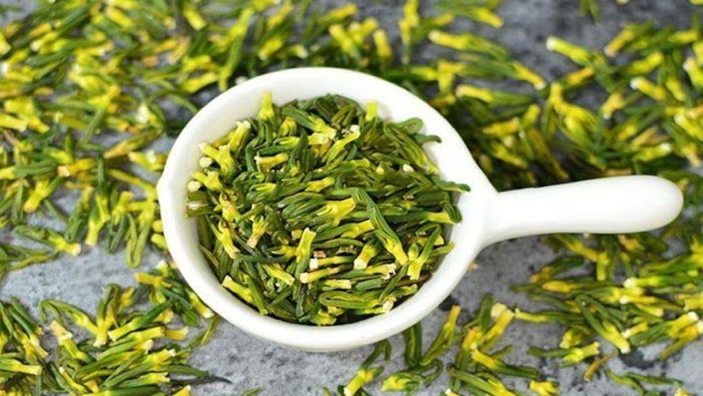 Hình thái mầm xanh đặc trưng của tâm sen được tách ra từ hạt sen già (Nguồn: Sưu tầm)