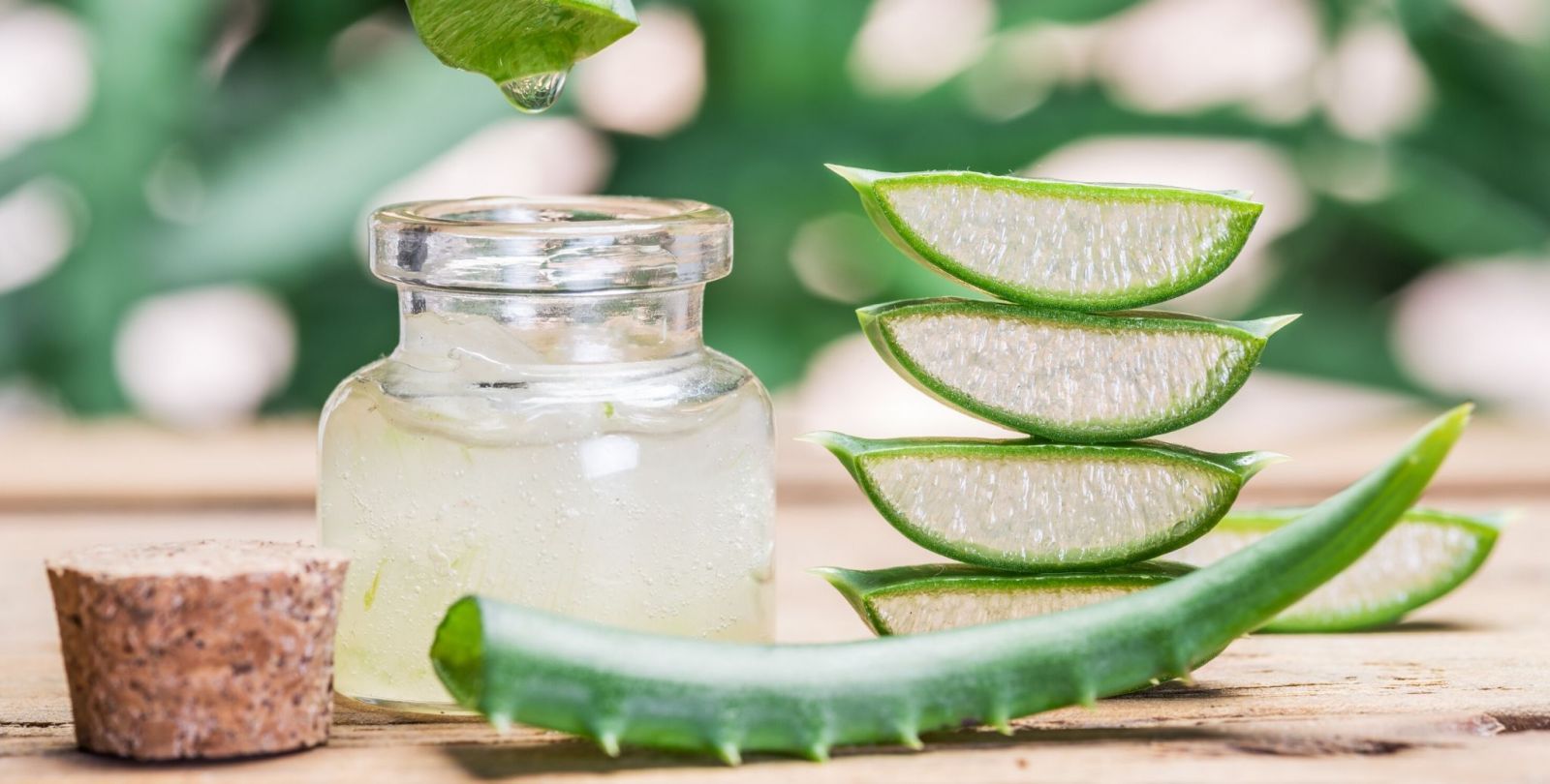 Nha đam cũng có tác dụng dưỡng ẩm giúp điều trị nứt gót chân 