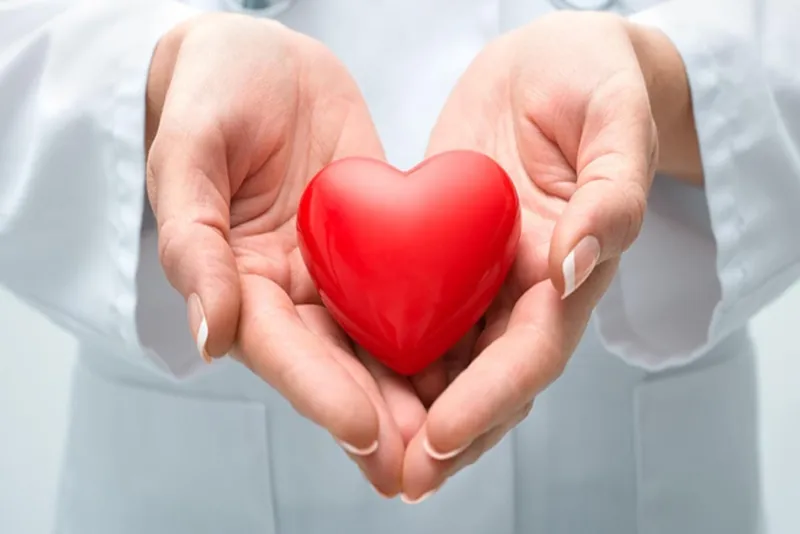 Cân đo đúng liều lượng giúp đảm bảo những điều cần lưu ý khi sử dụng giảo cổ lam
