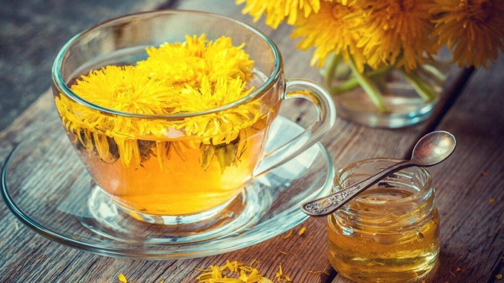 Mát gan với trà hoa bồ công anh