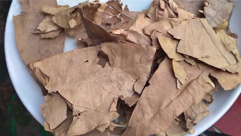 Hoạt chất flavonoid trong lá sa kê mang lại công dụng hỗ trợ điều trị bệnh gút và tiểu đường hiệu quả(Nguồn: Sưu tầm)