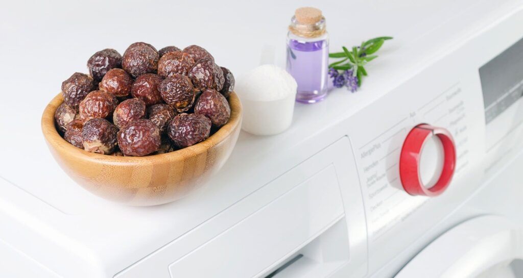 Dung dịch bồ hòn được ứng dụng làm sữa tắm và nước rửa tay sinh học (Nguồn: Sưu tầm)