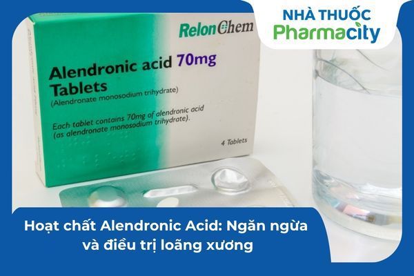 Hoạt chất Alendronic Acid: Ngăn ngừa và điều trị loãng xương