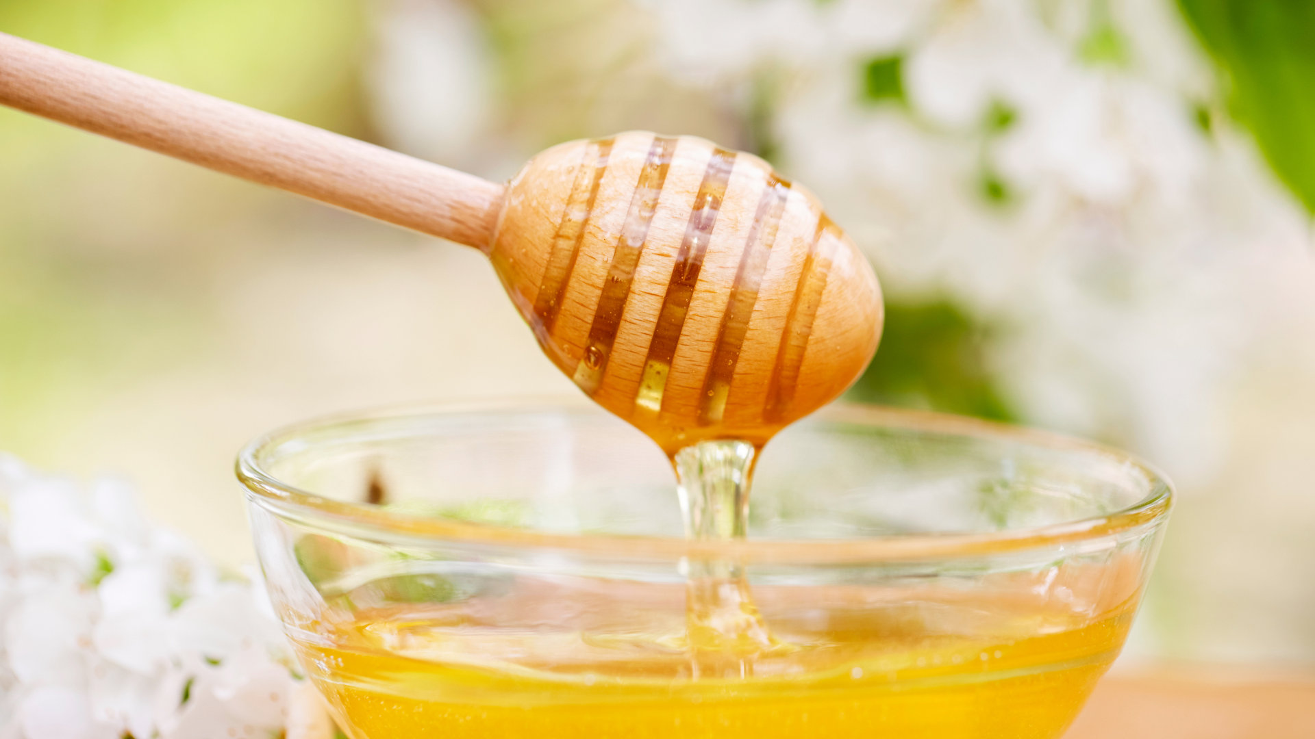 Mật ong chứa các chất chống oxy hóa hỗ trợ bảo vệ mạch máu cho người bị mỡ máu cao 