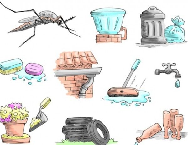 Dọn dẹp các vật dụng đọng nước quanh nhà giúp loại bỏ môi trường sinh sản của muỗi vằn