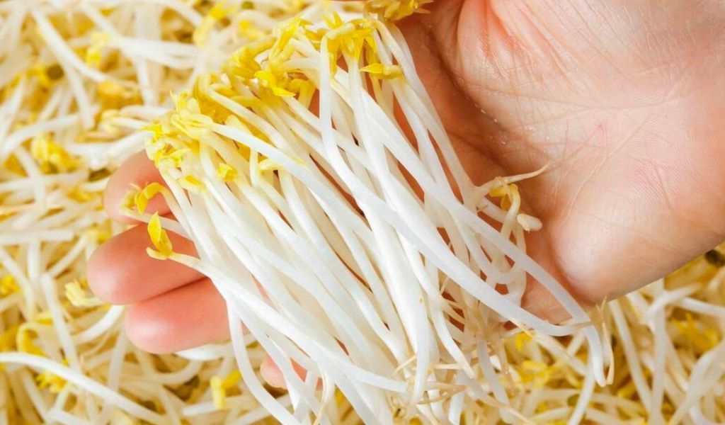 Giá đỗ chứa nhiều dinh dưỡng có lợi cho người bệnh gút