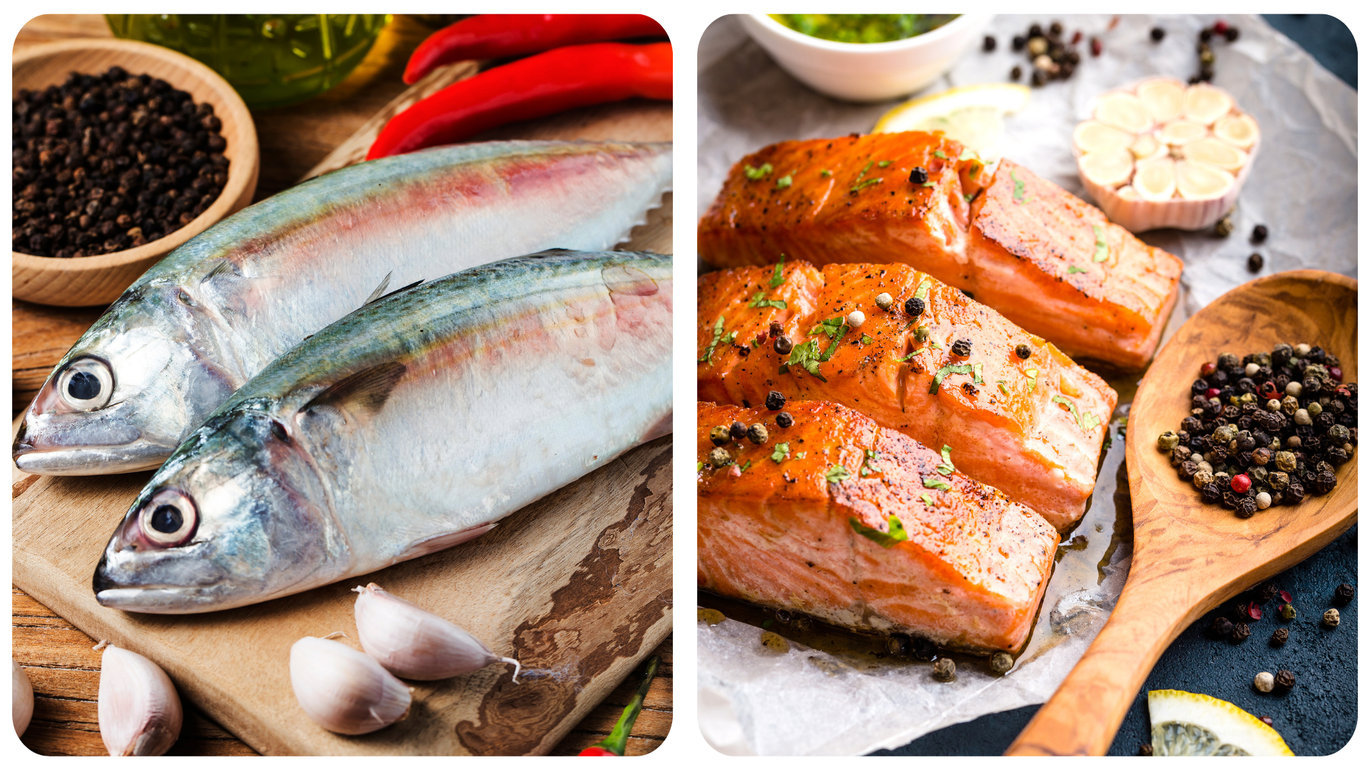 Hình ảnh các loại cá biển nhỏ là nguồn thực phẩm giàu omega 3. 