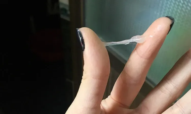 Nội tiết tố thay đổi làm tăng lưu lượng máu đến vùng chậu, khiến dịch tiết âm đạo ra nhiều hơn 