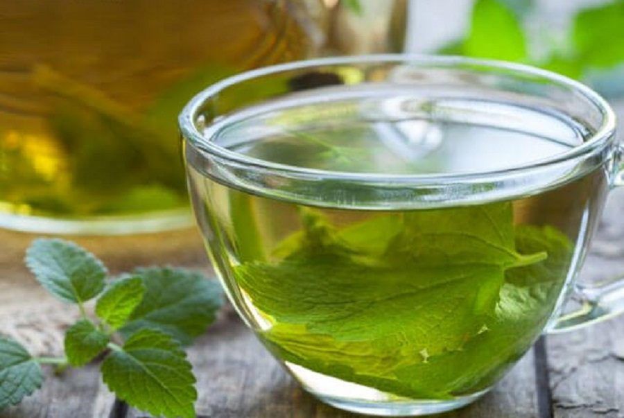 Sử dụng đúng đối tượng giúp đảm bảo những điều cần lưu ý khi sử dụng tía tô an toàn