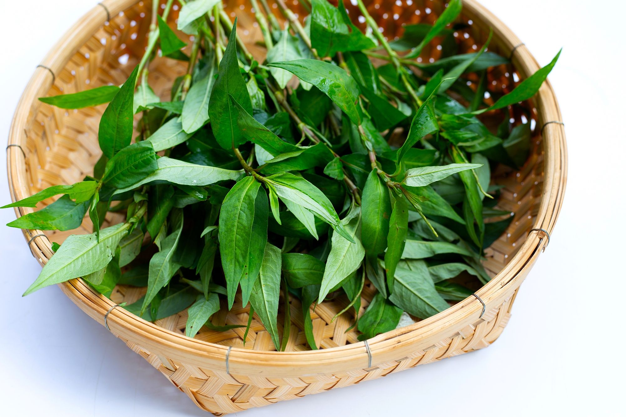 Sử dụng đúng đối tượng giúp đảm bảo những điều cần lưu ý khi sử dụng rau răm an toàn (Nguồn: Sưu tầm)