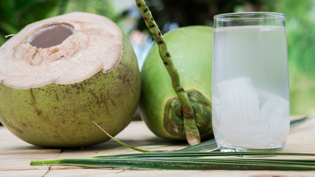 Nước dừa có tính hàn, người bệnh trĩ cần cân nhắc kỹ về liều lượng để không gây ảnh hưởng đến tiêu hóa