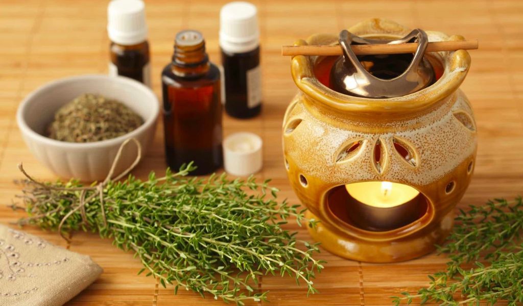 Chiết xuất cỏ xạ hương được ứng dụng rộng rãi trong các sản phẩm hỗ trợ trị ho