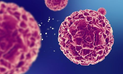 Hình minh họa quá trình phát triển tự nhiên của virus HPV trong tế bào biểu mô cổ tử cung
