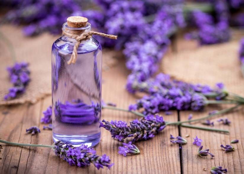 Sử dụng tinh dầu oải hương trong phòng ngủ giúp xoa dịu các xung động thần kinh, đưa bạn vào giấc ngủ sâu