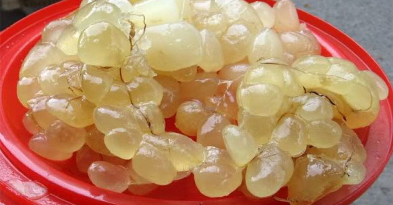 Mỡ trăn đúng chuẩn có màu vàng óng (Nguồn: Sưu tầm)