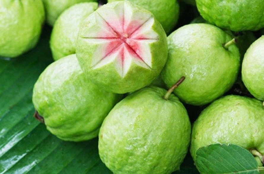 Ổi chứa nhiều dinh dưỡng tốt cho bệnh gút 