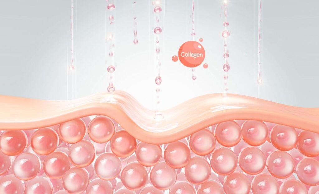 CÁCH LÀM COLLAGEN TỪ BÌ LỢN ĐƠN GIẢN TẠI NHÀ