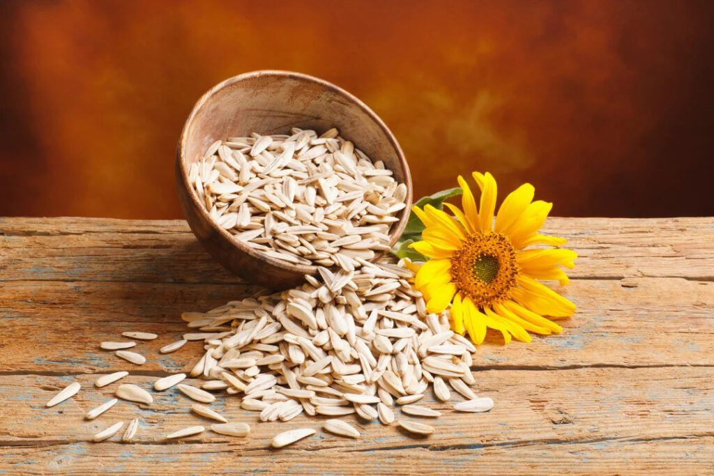 Hình ảnh minh họa các loại hạt và dầu thực vật giàu vitamin E. 