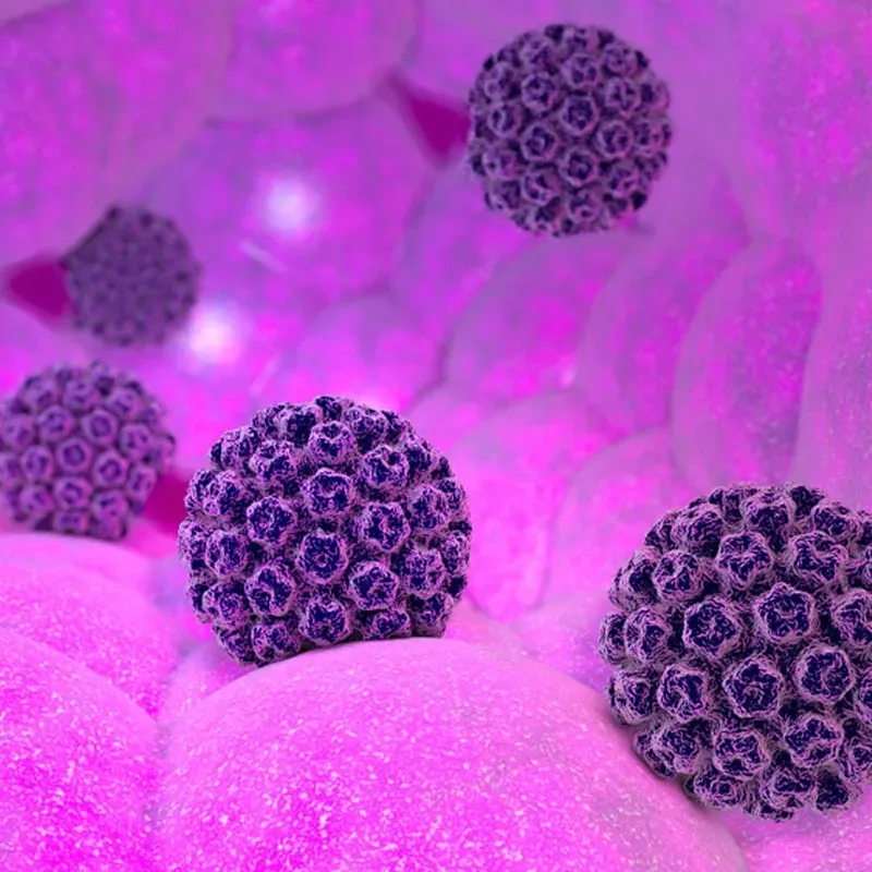 Virus HPV là tác nhân chính dẫn đến các biến đổi tế bào gây ung thư cổ tử cung 