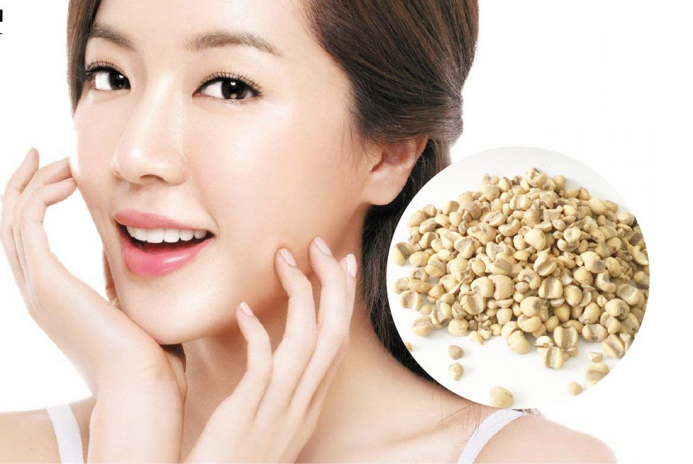 Hoạt chất coixenolide trong ý dĩ mang lại công dụng làm đẹp hiệu quả (Nguồn: Sưu tầm)