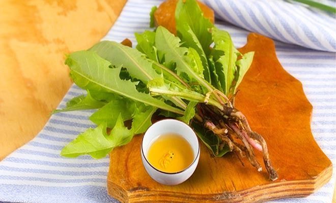 Trà cây bồ công anh