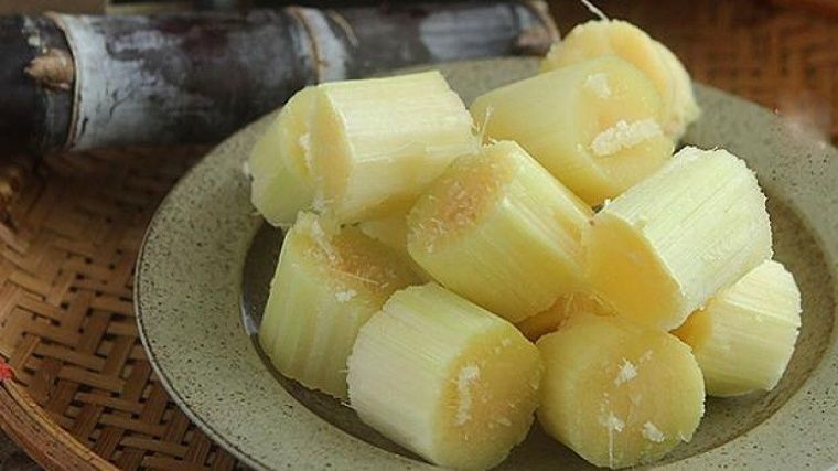 ĂN MÍA CUNG CẤP BAO NHIÊU CALO MỖI NGÀY