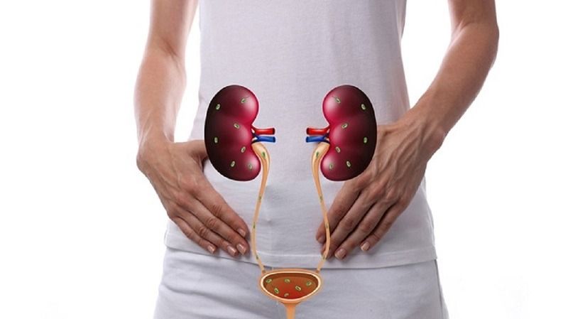 Tư vấn chuyên khoa giúp bạn xác định đúng lộ trình điều trị khi gặp bất thường về nước tiểu 