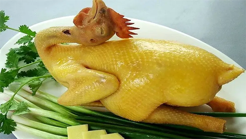 Người bệnh trĩ có ăn được thịt gà không 