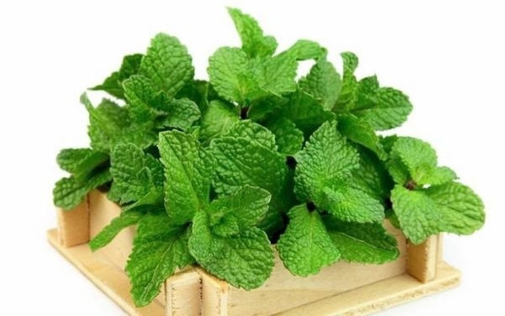 Hình minh họa Mật ong hỗ trợ làm dịu
